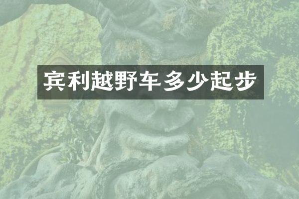 宾利越野车多少起步