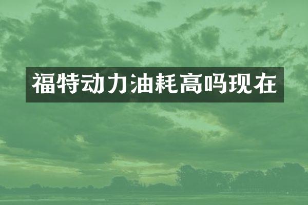 福特动力油耗高吗现在