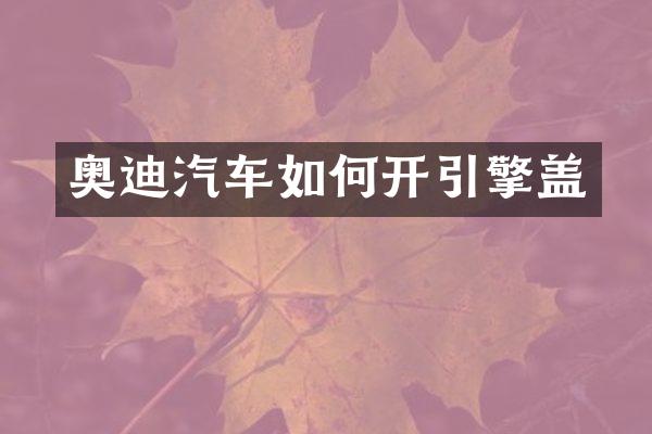 奥迪汽车如何开引擎盖