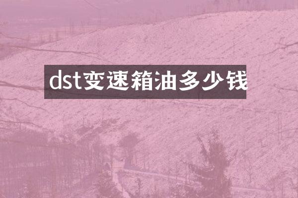 dst变速箱油多少钱