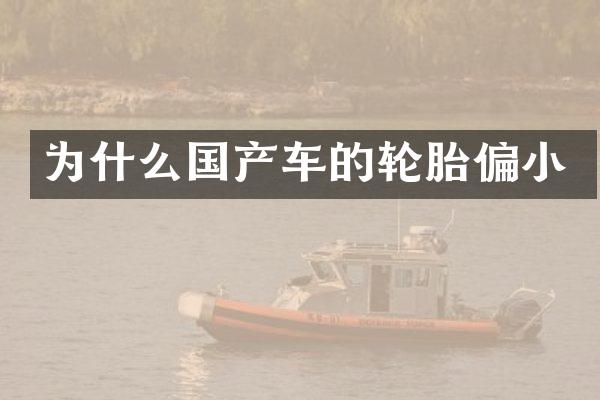 为什么国产车的轮胎偏小