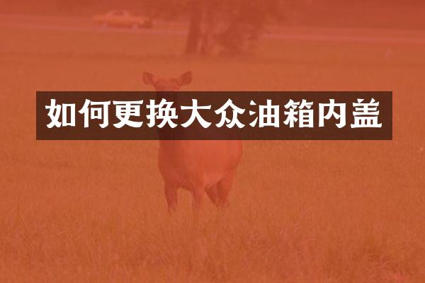 如何更换大众油箱内盖