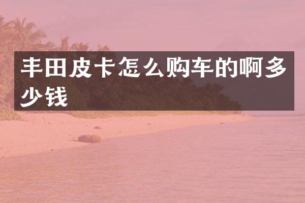 丰田皮卡怎么购车的啊多少钱