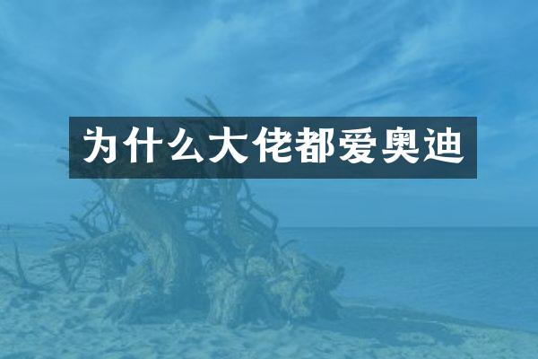 为什么大佬都爱奥迪