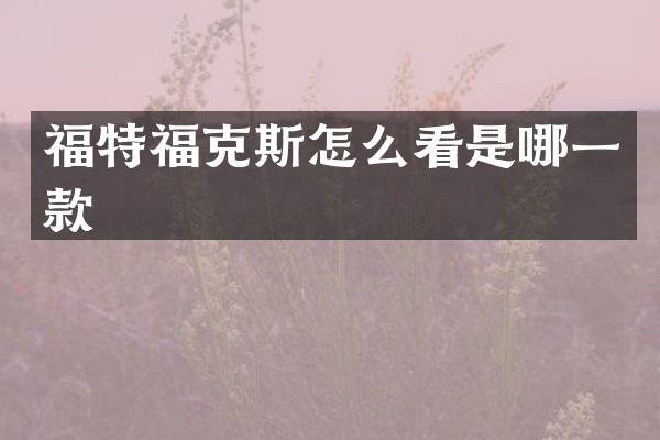 福特福克斯怎么看是哪一款
