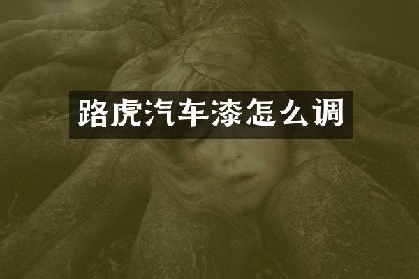 路虎汽车漆怎么调
