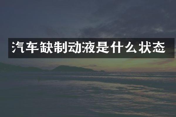 汽车缺制动液是什么状态