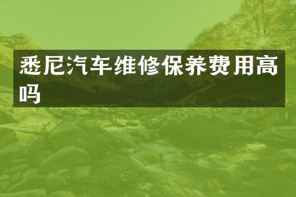 悉尼汽车维修保养费用高吗