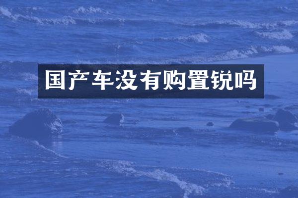国产车没有购置锐吗