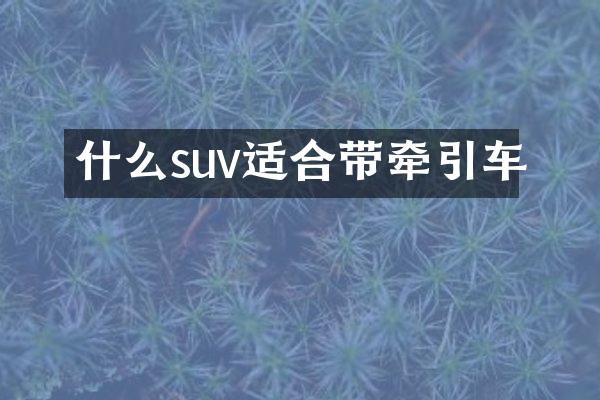 什么suv适合带牵引车