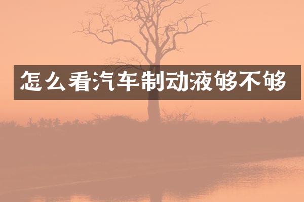 怎么看汽车制动液够不够