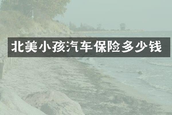 北美小孩汽车保险多少钱