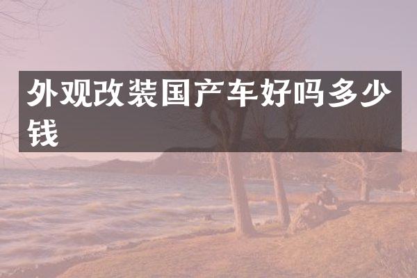 外观改装国产车好吗多少钱