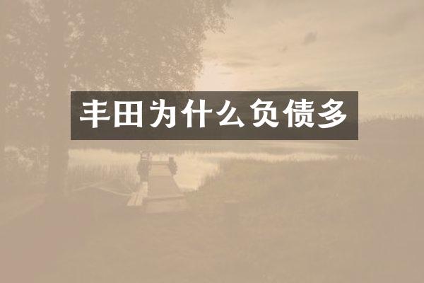 丰田为什么负债多