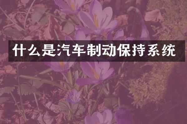 什么是汽车制动保持系统
