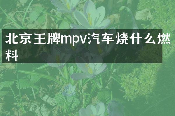 北京王牌mpv汽车烧什么燃料