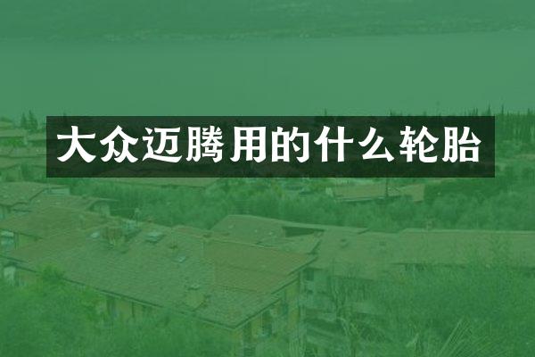 大众迈腾用的什么轮胎