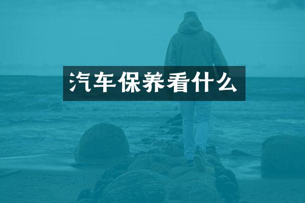 汽车保养看什么