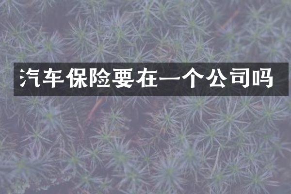 汽车保险要在一个公司吗