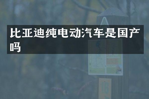 比亚迪纯电动汽车是国产吗