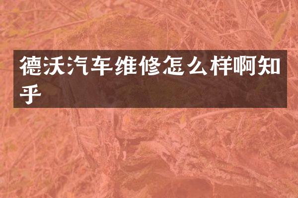 德沃汽车维修怎么样啊知乎