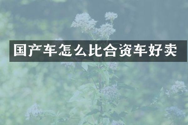 国产车怎么比合资车好卖