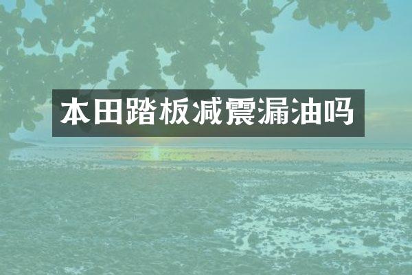 本田踏板减震漏油吗