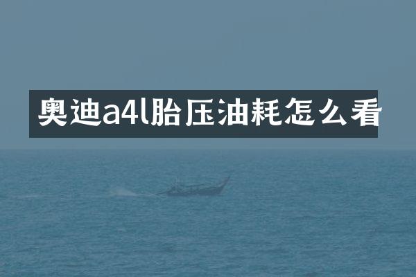 奥迪a4l胎压油耗怎么看