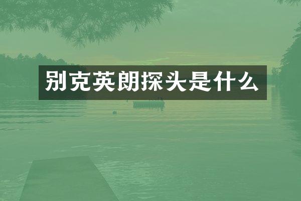 别克英朗探头是什么