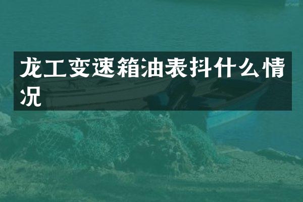 龙工变速箱油表抖什么情况
