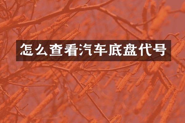 怎么查看汽车底盘代号