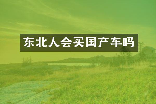 东北人会买国产车吗