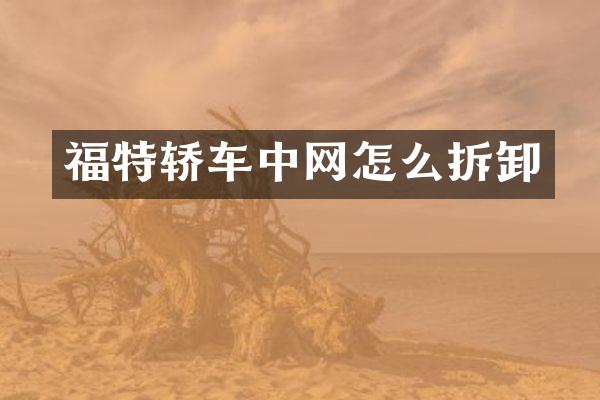 福特轿车中网怎么拆卸