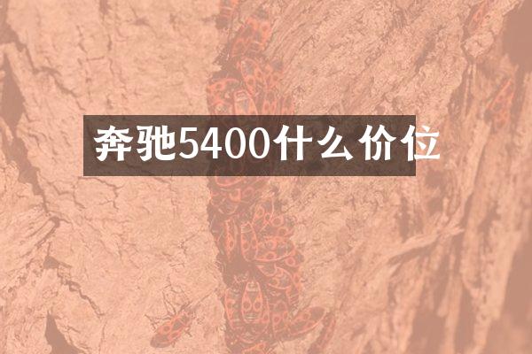 奔驰5400什么价位