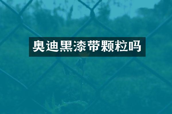 奥迪黑漆带颗粒吗