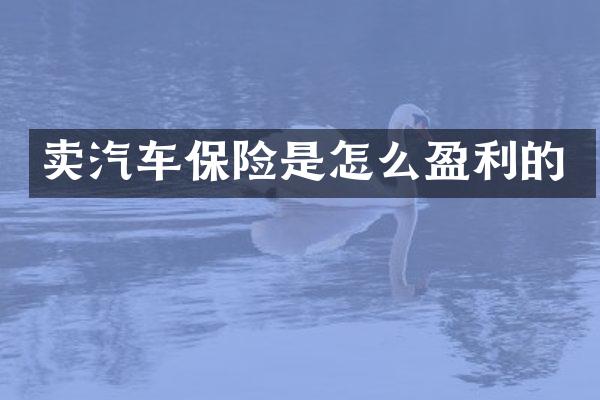 卖汽车保险是怎么盈利的