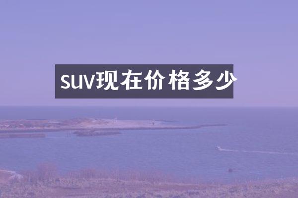 suv现在价格多少