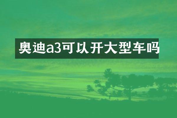 奥迪a3可以开大型车吗