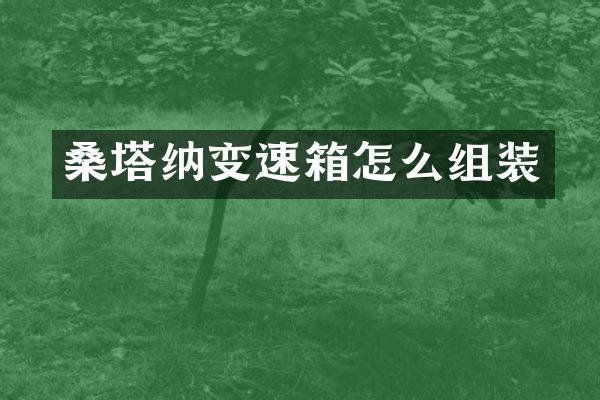 桑塔纳变速箱怎么组装
