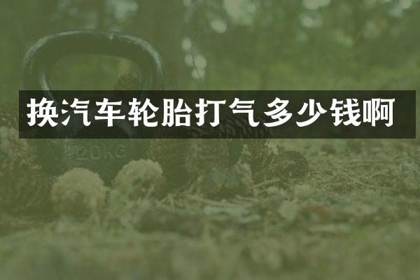 换汽车轮胎打气多少钱啊