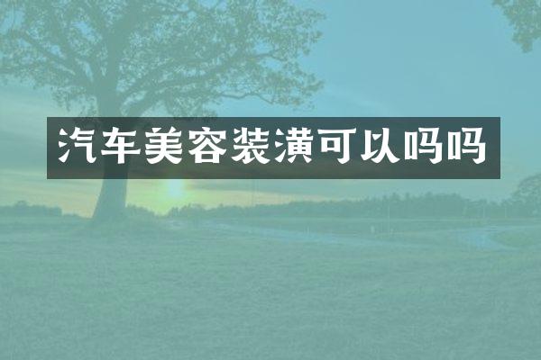 汽车美容装潢可以吗吗