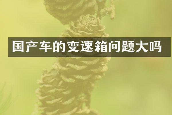 国产车的变速箱问题大吗