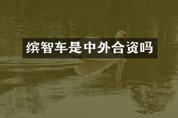 缤智车是中外合资吗
