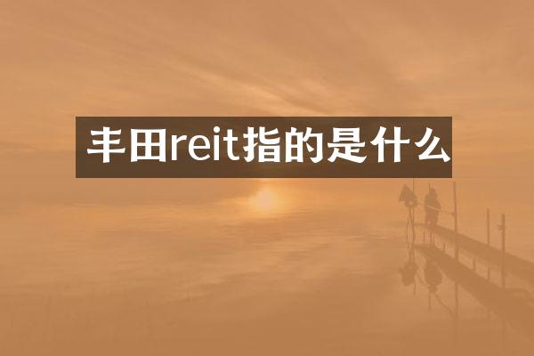 丰田reit指的是什么