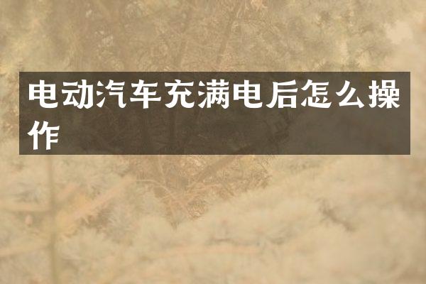 电动汽车充满电后怎么操作