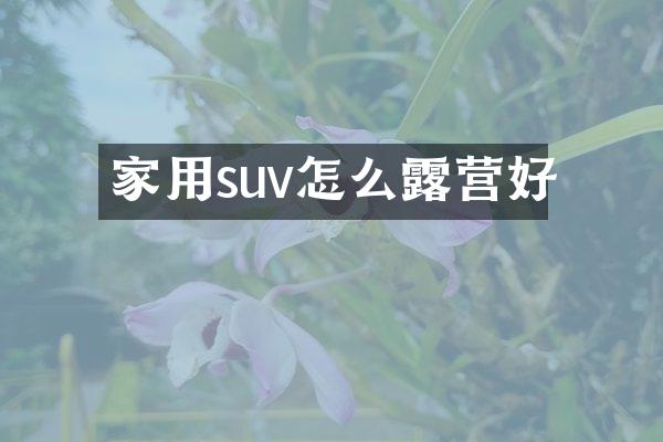 家用suv怎么露营好