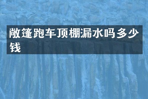敞篷跑车顶棚漏水吗多少钱