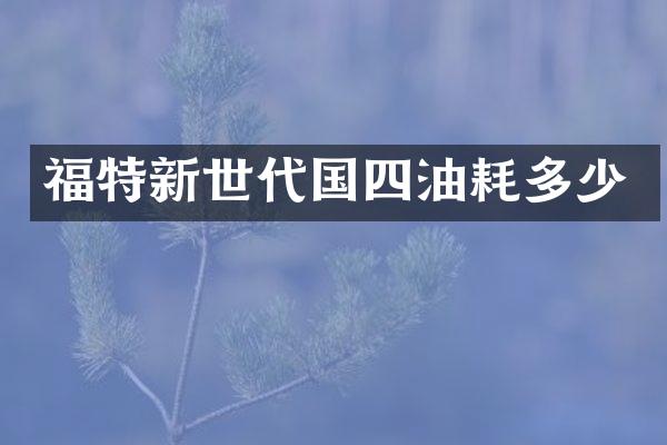 福特新世代国四油耗多少