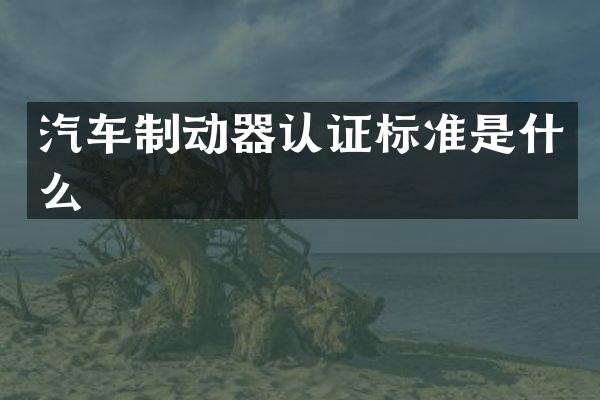 汽车制动器认证标准是什么