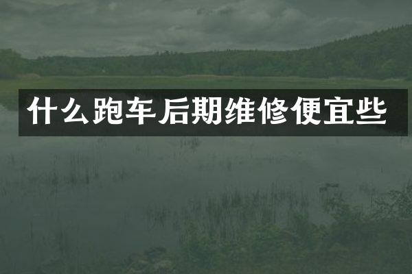 什么跑车后期维修便宜些